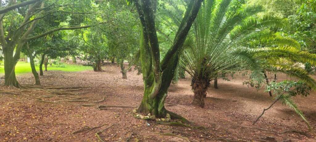 c54499b9 5e2d 455f a8c1 e885c22d3f20