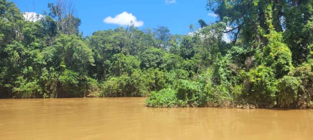 d13c883a 80a9 409f 8de0 a6b040edfecd