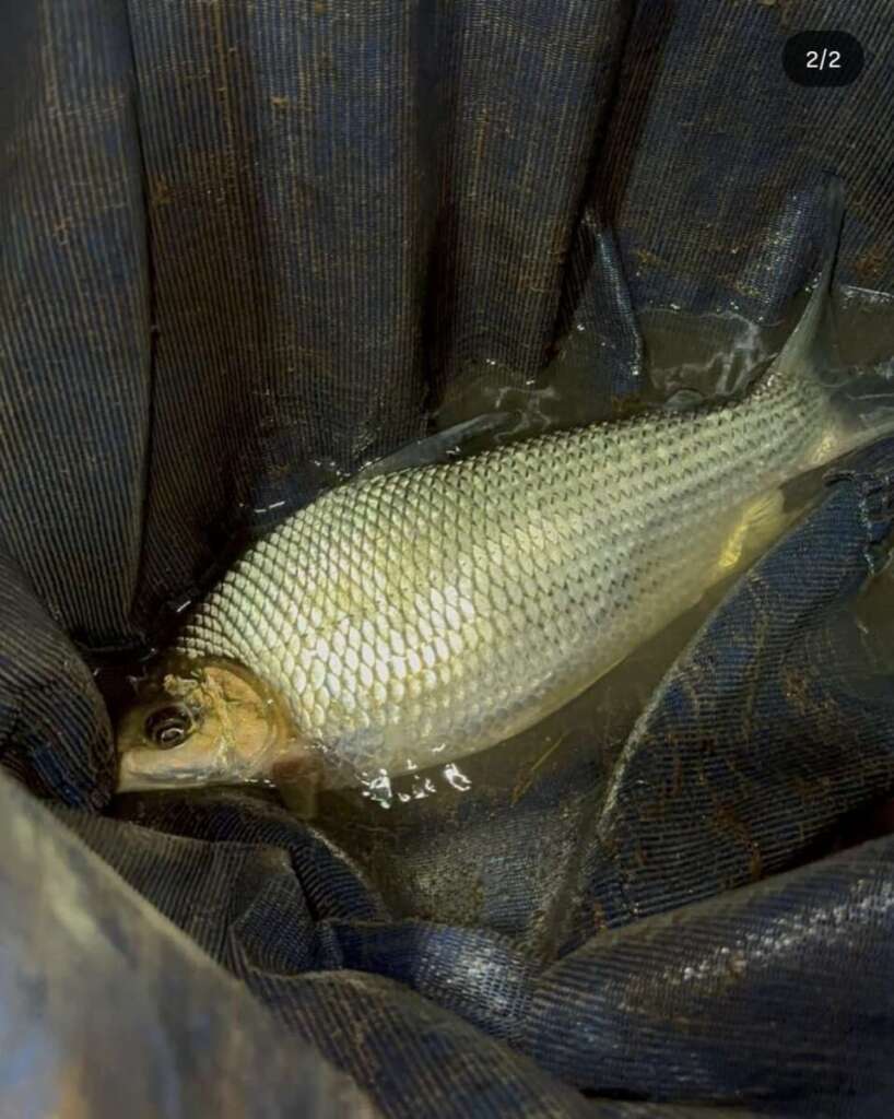 d2769a4d c400 46e0 9fa2 1e31451d9d27