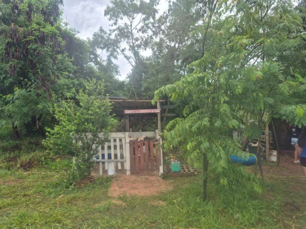 Impedimento à Regeneração Natural em Área de Preservação Permanente (APP) 3 d57cb1ca 955c 4c2e 8d3a 41fe6557e04f