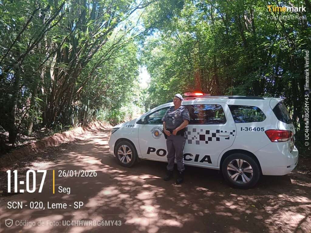 d8e121b2 7a2d 4a51 a8ef c66bdb4758cf