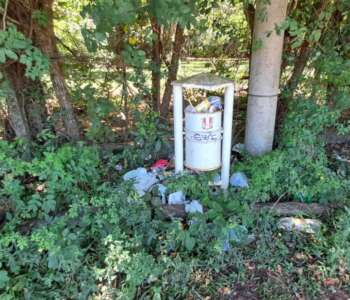 dbc7aebd-989e-4762-9905-d7d8e86c28a1