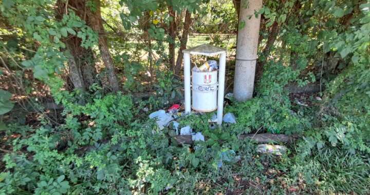 dbc7aebd 989e 4762 9905 d7d8e86c28a1