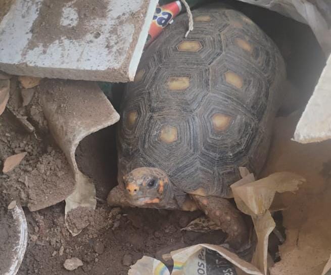 e4a7c11c d607 4313 b28a 791ec173144d