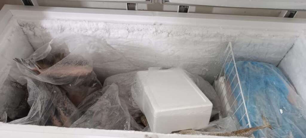 e562be09 a290 4973 95f8 cb9d577230e6