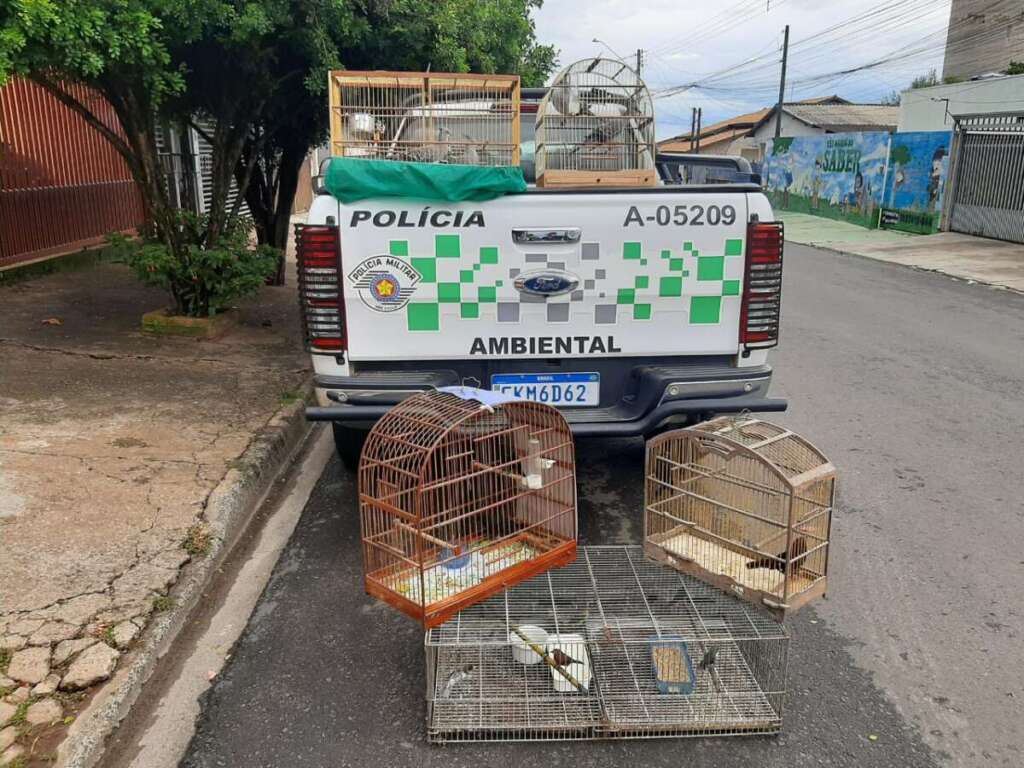 ed36f19f d7a7 4c05 ad0f 84495a0645e6