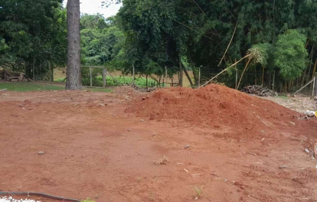 ee7426c8 1777 4135 a784 c8571a559403 1