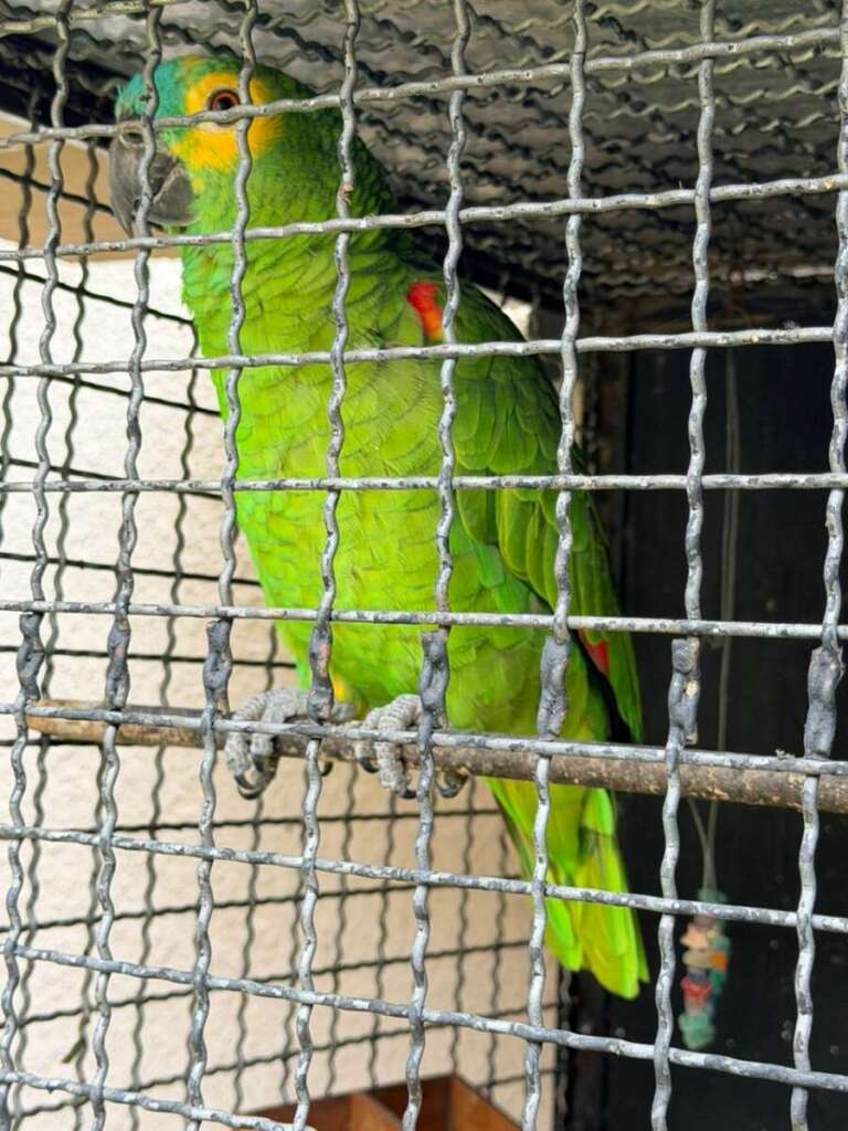 ff597e71 da75 4c68 b930 0d81d9bff235