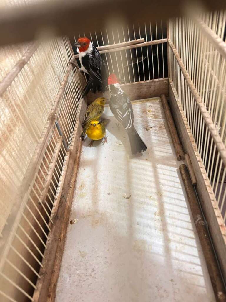 095faf9f 03c9 4b26 b556 6e2fecf1d6c4