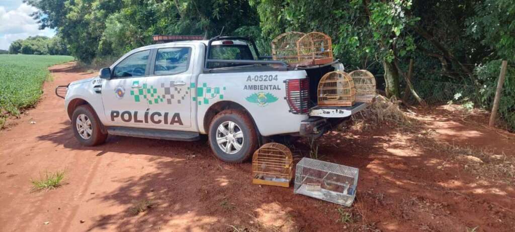 61a7d918 b5c4 4e8d 9cbc 64c67cc36d1f