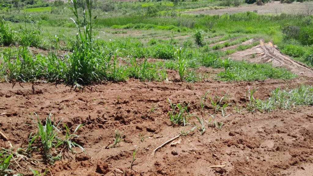 68076546-4003-4927-835c-afec04162e2f