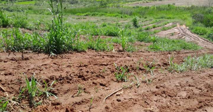 68076546 4003 4927 835c afec04162e2f