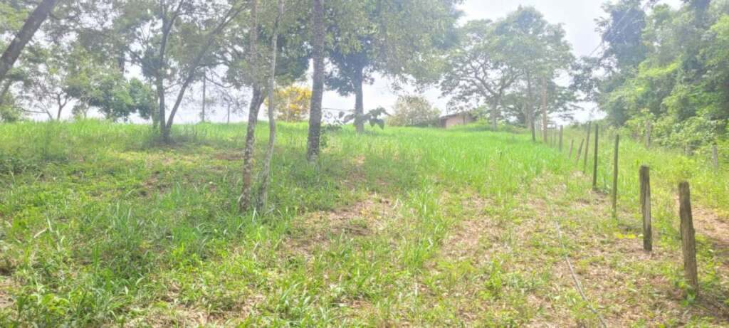 WhatsApp Image 2026 02 04 at 22.56.48