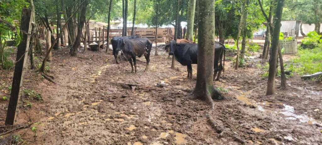 WhatsApp Image 2026 02 06 at 19.00.40 1