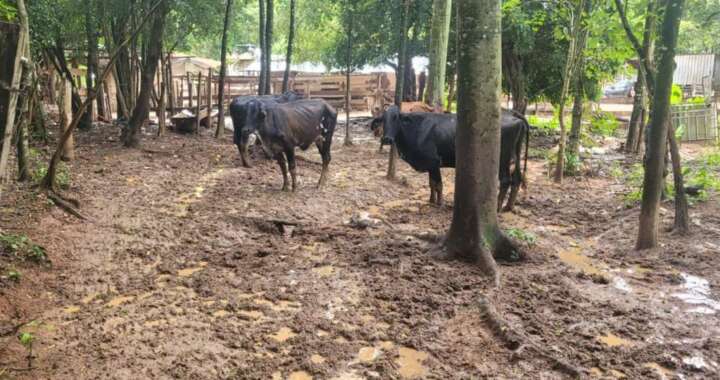 WhatsApp Image 2026 02 06 at 19.00.40 1