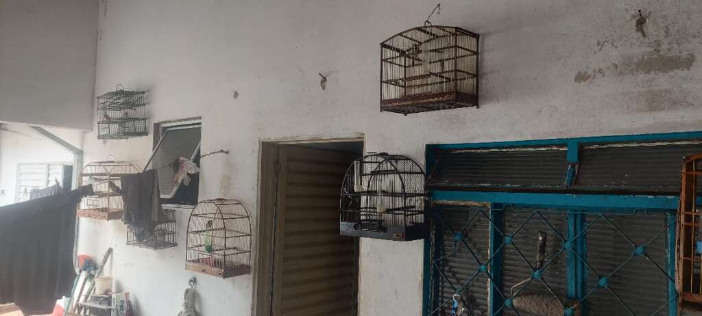 WhatsApp Image 2026 02 10 at 16.48.18