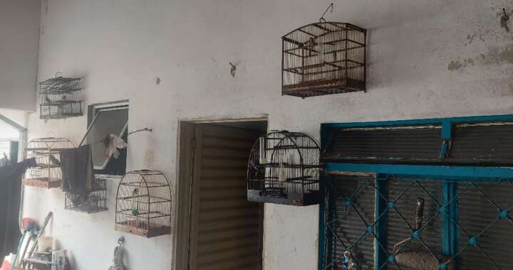 WhatsApp Image 2026 02 10 at 16.48.18