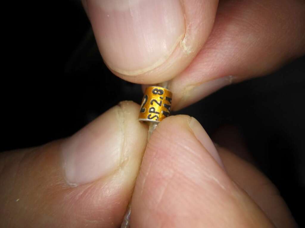 WhatsApp Image 2026 02 10 at 19.13.18 1