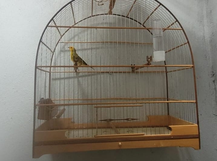 WhatsApp Image 2026 02 10 at 19.13.18