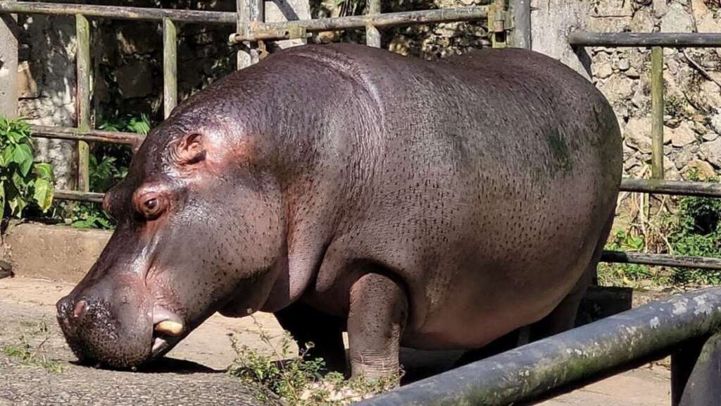 a7b1ad50 e7c9 41f4 9417 fef76f722b9d