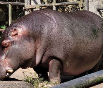 a7b1ad50-e7c9-41f4-9417-fef76f722b9d