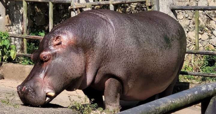 a7b1ad50 e7c9 41f4 9417 fef76f722b9d