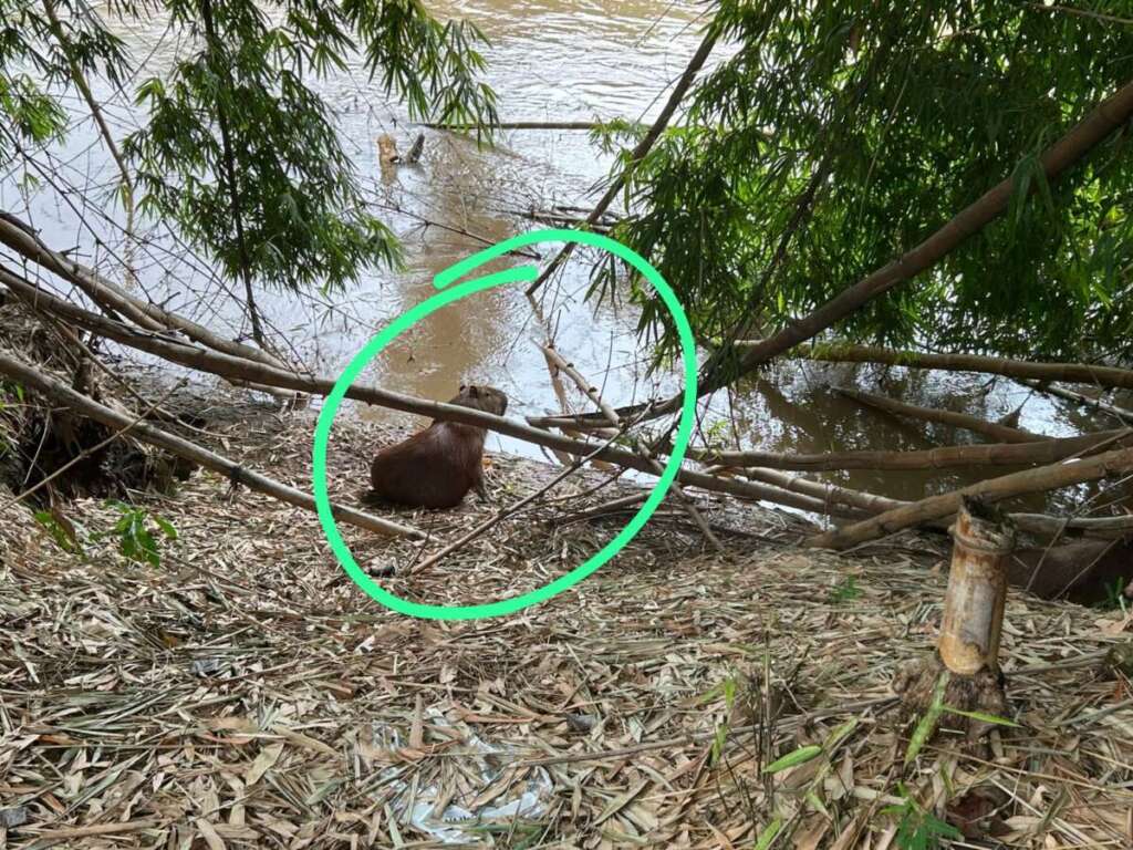 bc3eb910 7e4c 455e 8cb7 fd02191fc555