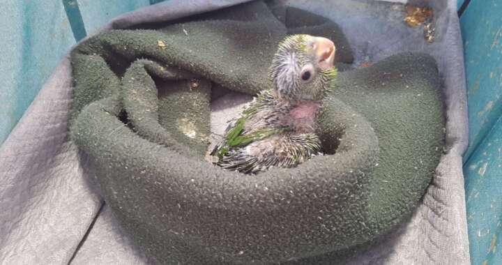 c3e1d4d4 c790 474e b58a d2d09c9176c6