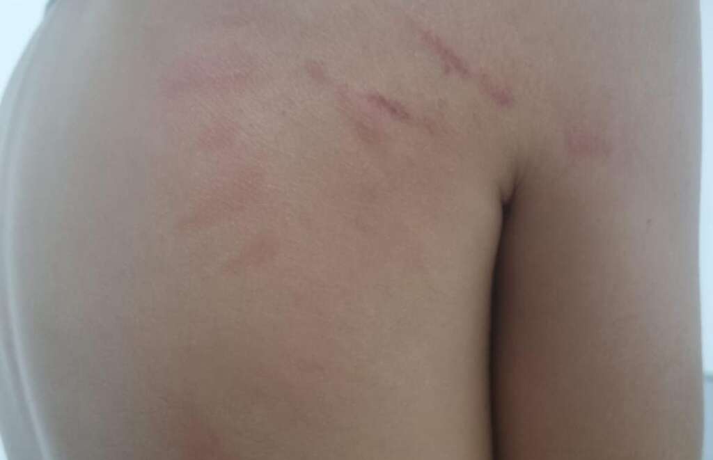 cb644cc2-f39b-469b-b7db-687cd7bb9fee