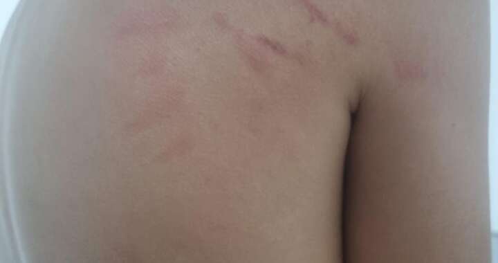 cb644cc2 f39b 469b b7db 687cd7bb9fee