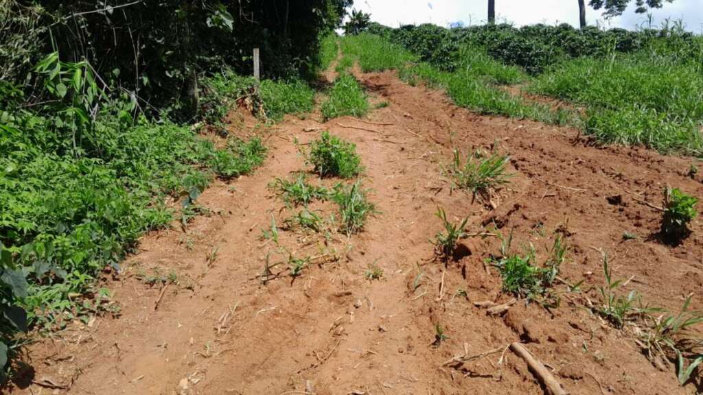 e7516b23 dee7 4bf1 b2d5 b25f2a665207