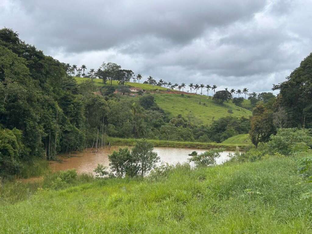 ebde1042 0215 46cc 8456 bee2b7821545