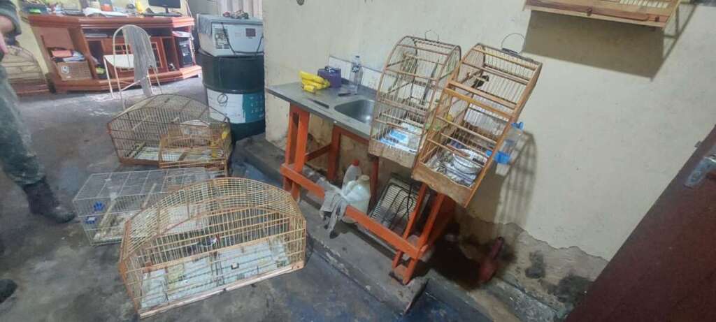 fed51665 0780 4f74 85b3 d19c3ced51ab