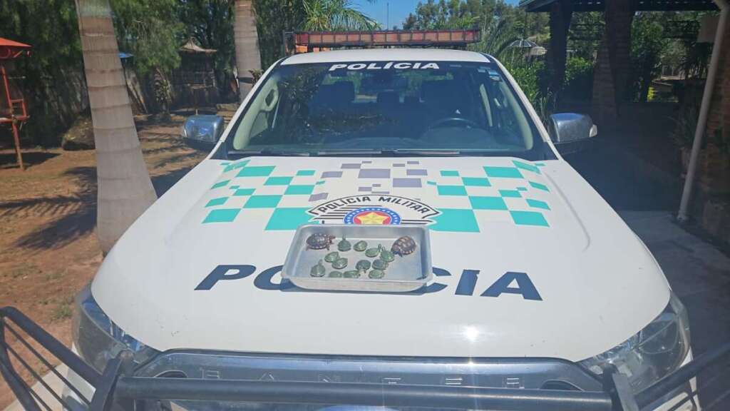 PM Ambiental continua com o firme propósito em combater aos crimes ambientais e levar educação ambiental 1 078c8b94 f921 4482 b041 90296ad49e4f