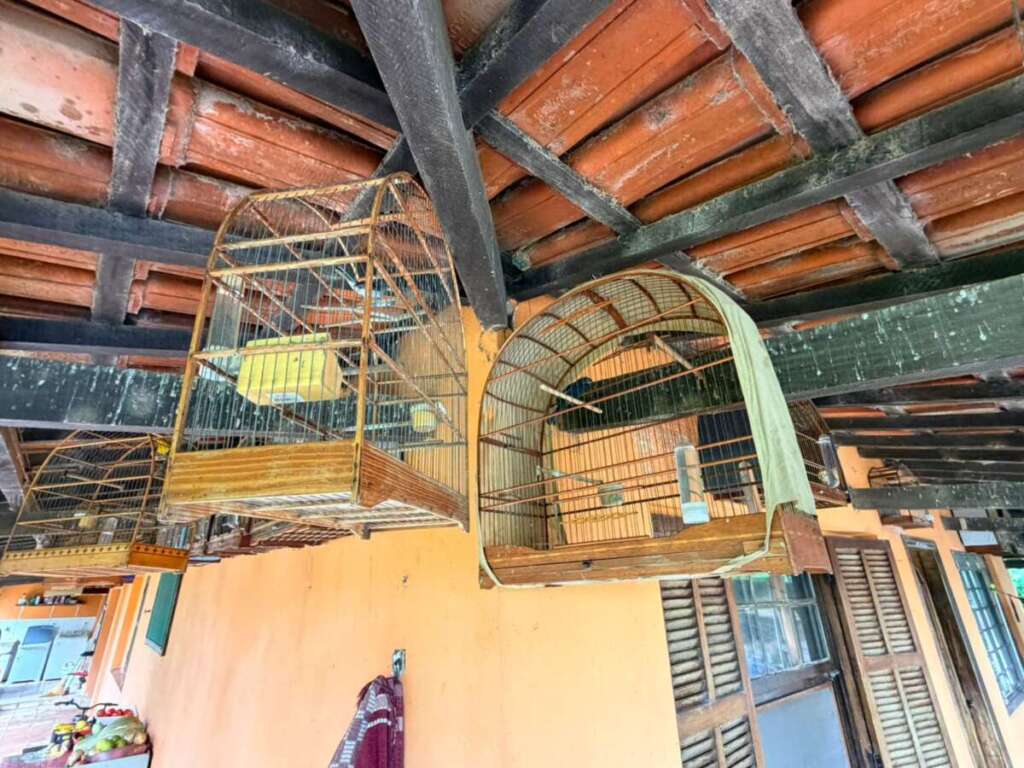 0a3b1d50 1eb6 4250 b590 a7b62dec5488