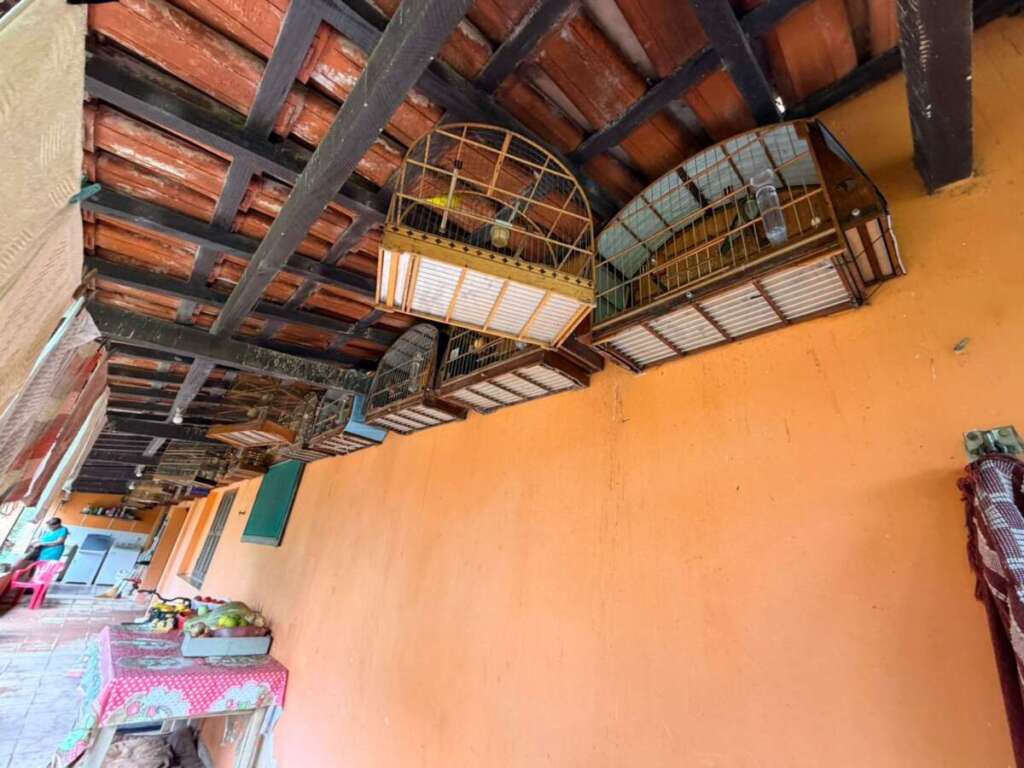 15e0f06d 6be5 4431 854d 7a9fc9ddc48a