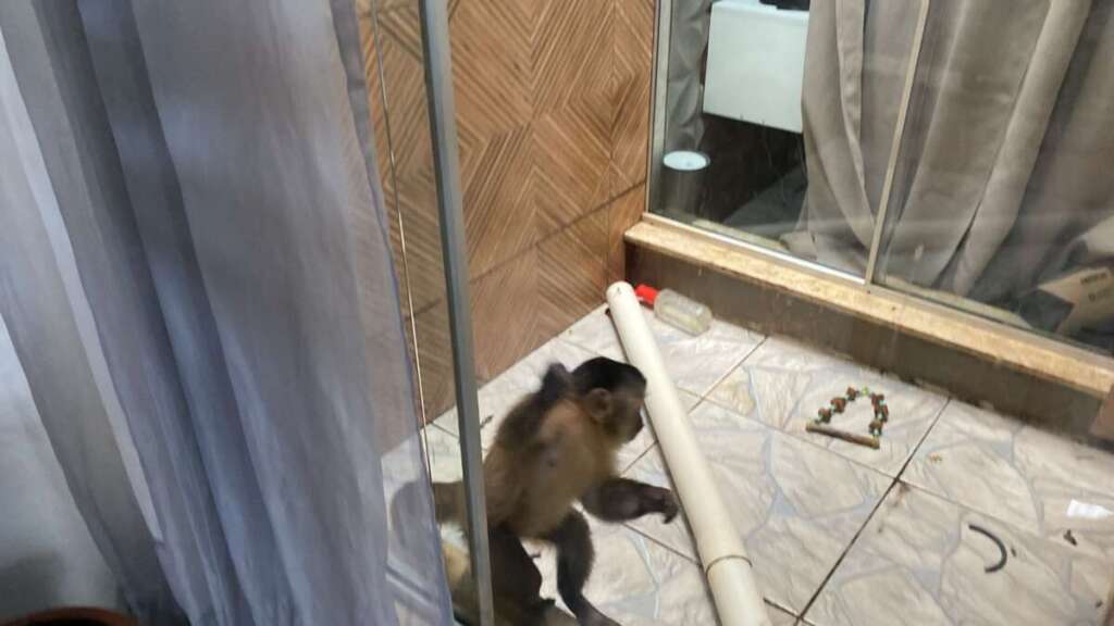 2db99c9e 98ff 43aa 9577 f49aea40345a 1