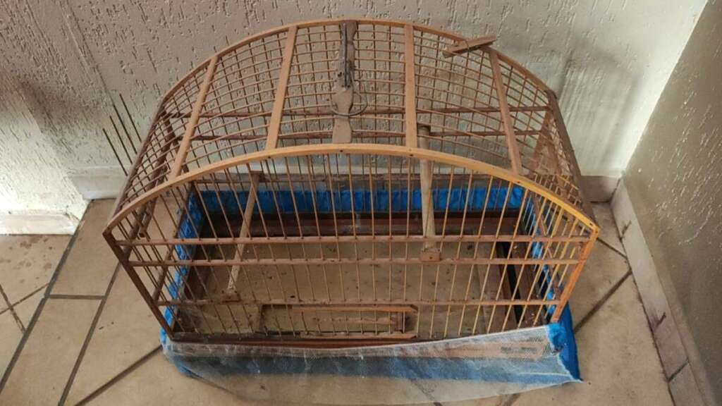 538cb828 6d52 48f8 8ae2 efedecf7caee