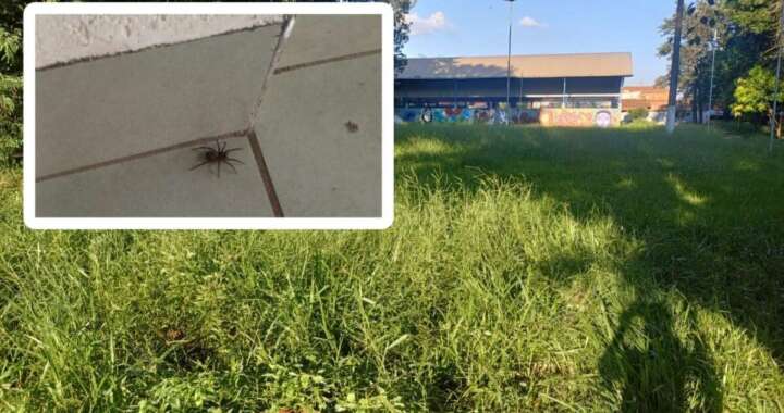 5c1ffef0 4d54 4c25 9fef 75e466a978fa