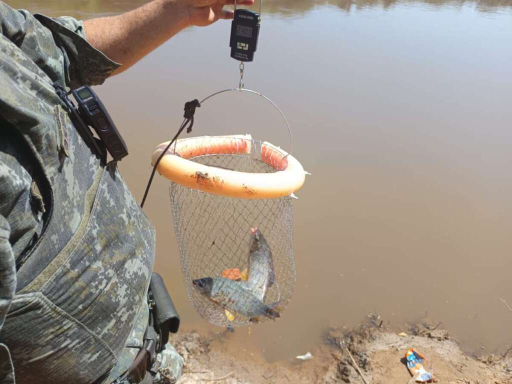 6033b438 5021 489d a382 d3469d7596cc