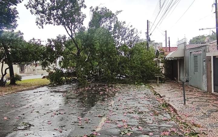 6945e182 a549 4ba6 ab8d 51e9c97b88ab