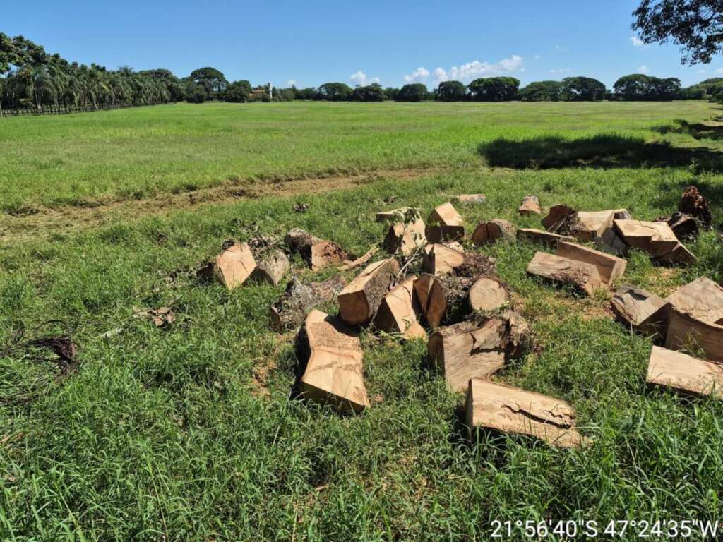 PM Ambiental continua com o firme propósito em combater aos crimes ambientais e levar educação ambiental 3 6d80335c f789 4bb6 ba29 af13339ea8e5