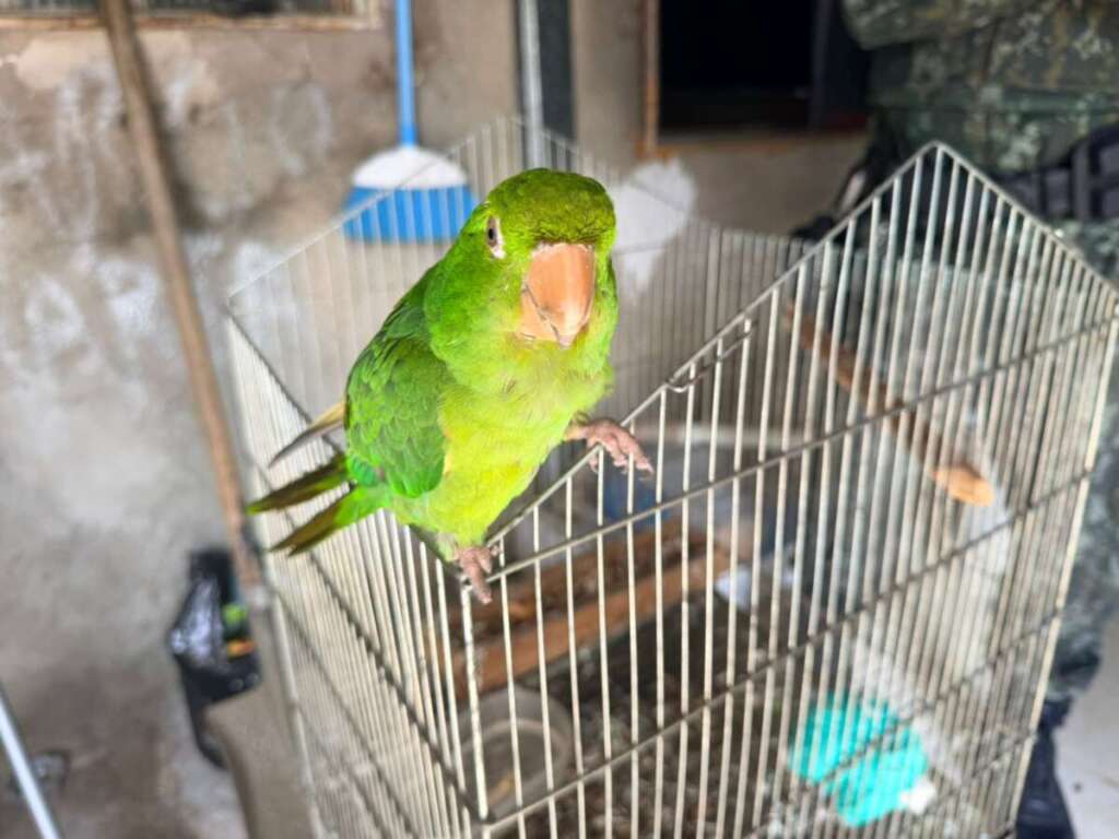 6efb55b9-f9b2-4bd1-a77d-5233a6292505