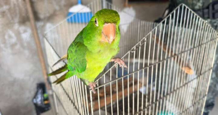 6efb55b9 f9b2 4bd1 a77d 5233a6292505