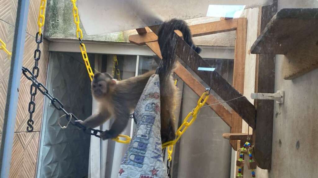 73075e2d c661 4ab5 8fa7 f81ced8c6123