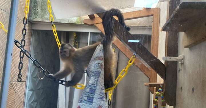 73075e2d c661 4ab5 8fa7 f81ced8c6123