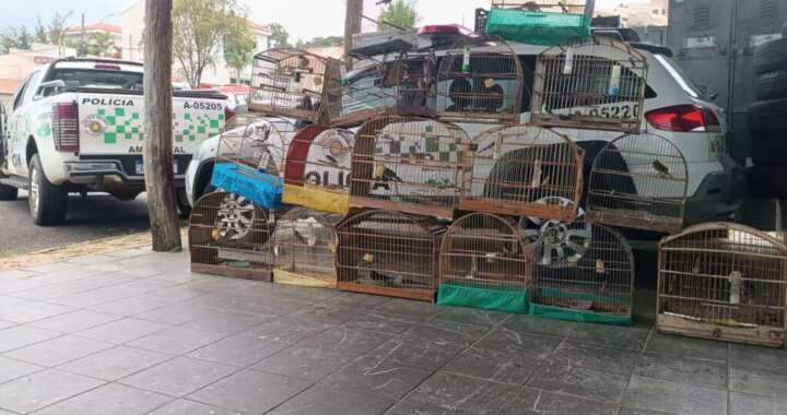 7ccff0eb c645 47cc bfef 22de28cd4964