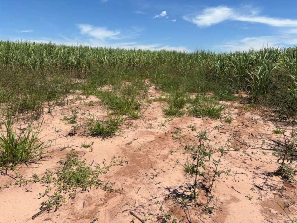 9a02f1d1 db8d 41f9 b487 93039fc17372