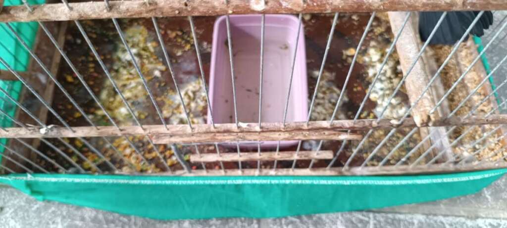 9ccad0be b966 4e3d b93b 69b487f7ed0f