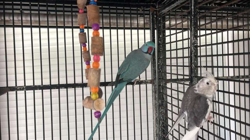 WhatsApp Image 2026 03 25 at 17.52.05